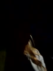 LianaJu Adult Chat August 10, 2025