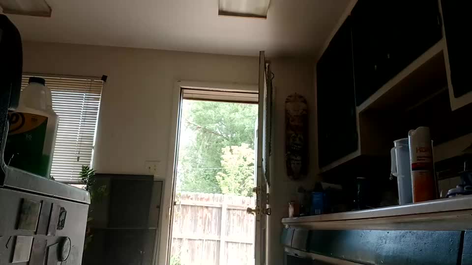 lacybell Adult Chat August 10, 2025