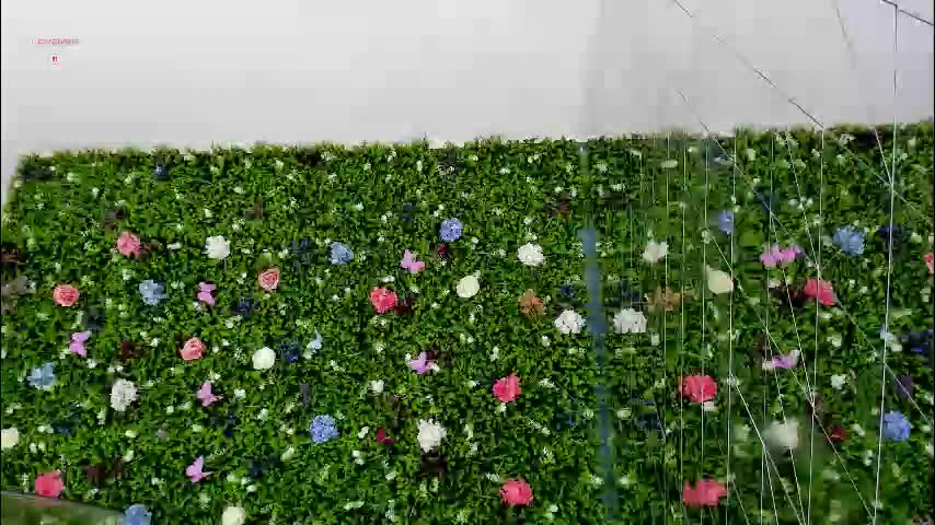 babyaylin Adult Chat August 10, 2025