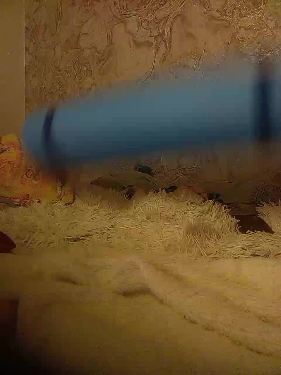 Ekaterina2221 Adult Chat August 10, 2025