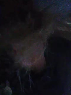 Victoria-sexi Adult Chat August 10, 2025