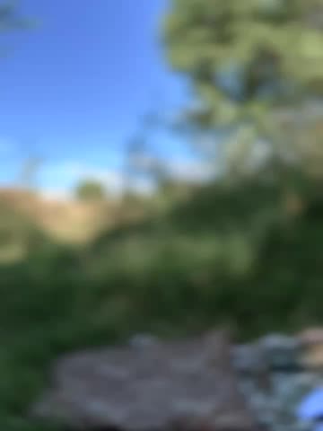 LadiNika Adult Chat August 10, 2025