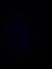 YuGoVi Adult Chat August 10, 2025