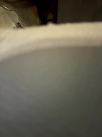 AndreaMood Adult Chat August 10, 2025