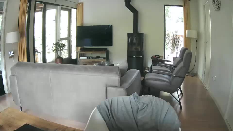 woodwurm Adult Chat August 10, 2025