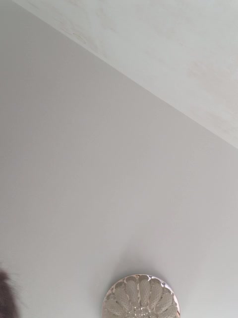 SonyaManya Adult Chat August 10, 2025