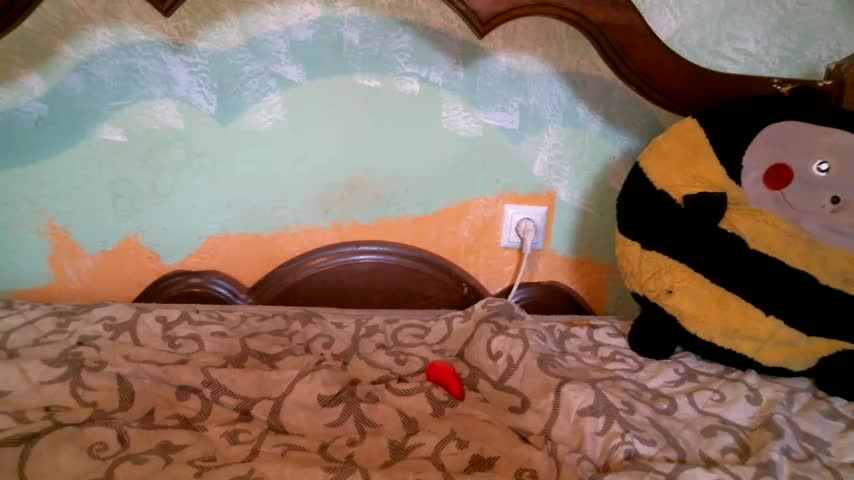 DennisXCaroll Adult Chat August 11, 2025