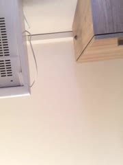 ChantalXOrchid Adult Chat August 11, 2025