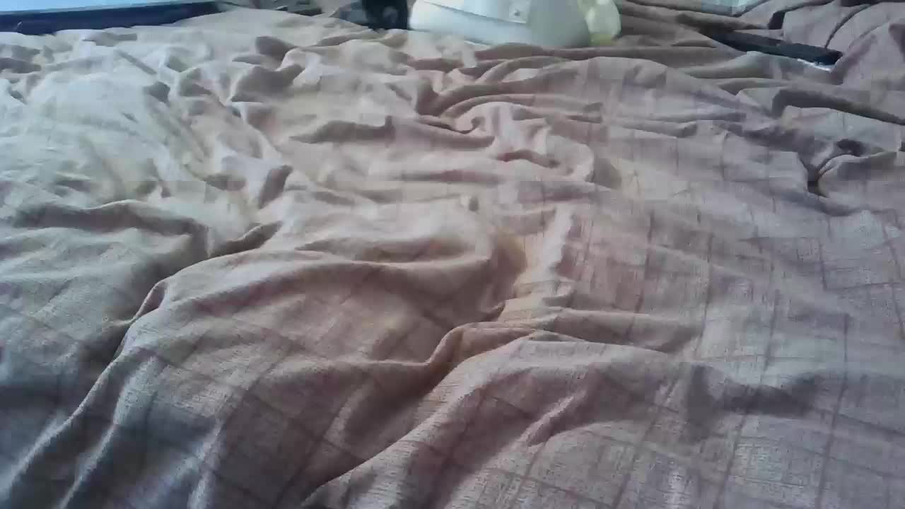 Foxy_Lady Adult Chat August 11, 2025