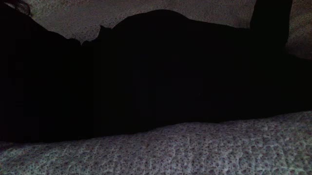 -magicrose- Adult Chat August 11, 2025