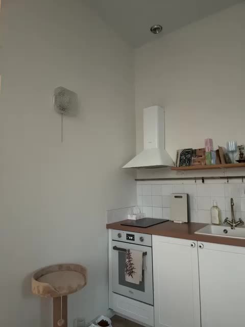 -Your-Michelle- Adult Chat August 11, 2025