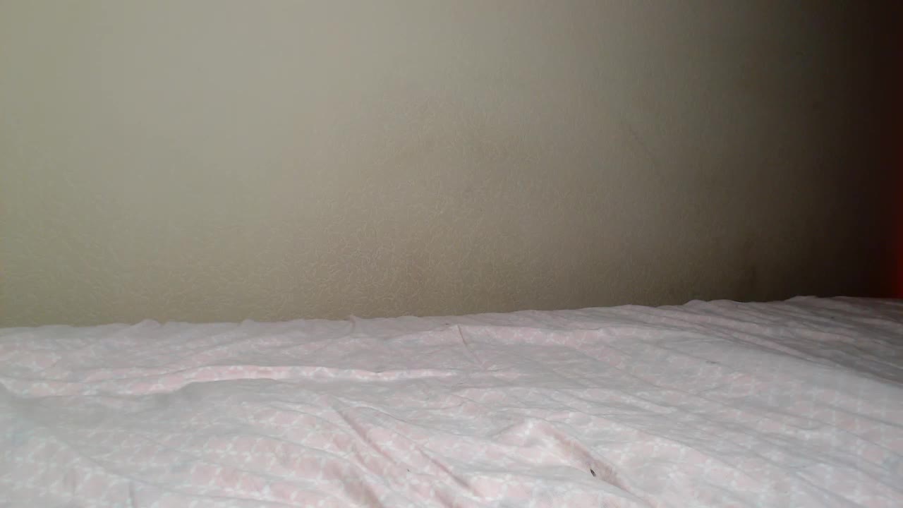 JustAlice Adult Chat August 11, 2025