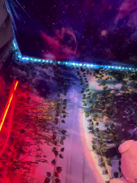 -Summer- Adult Chat August 11, 2025