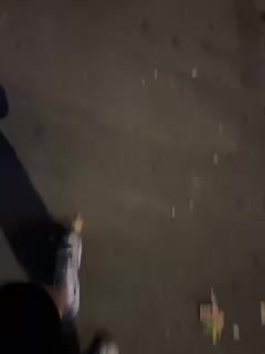 wild-love1 Adult Chat August 11, 2025