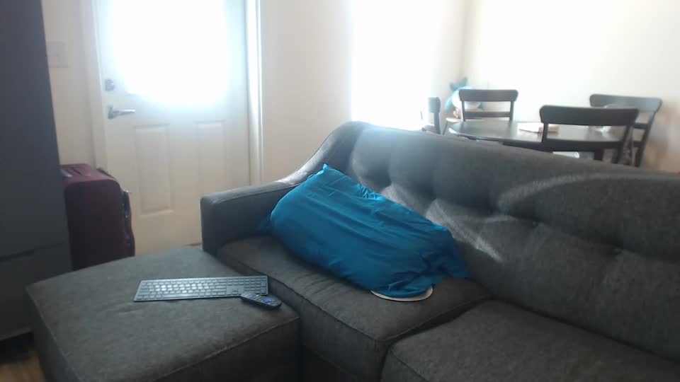 jadelondonxo Adult Chat August 11, 2025