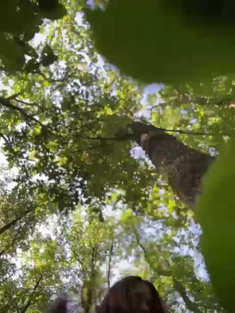 BabyDarii Adult Chat August 11, 2025