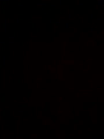 StephanieMur Adult Chat August 11, 2025