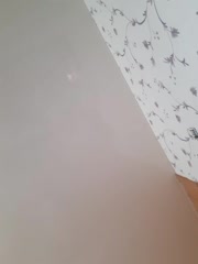 IsabellaBoni Adult Chat August 11, 2025