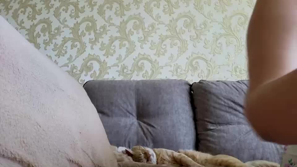 elly_ly Adult Chat August 11, 2025