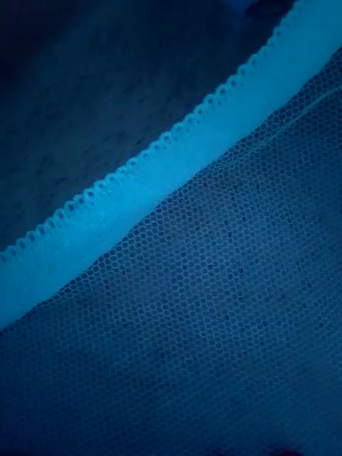 Bogina2 Adult Chat August 11, 2025