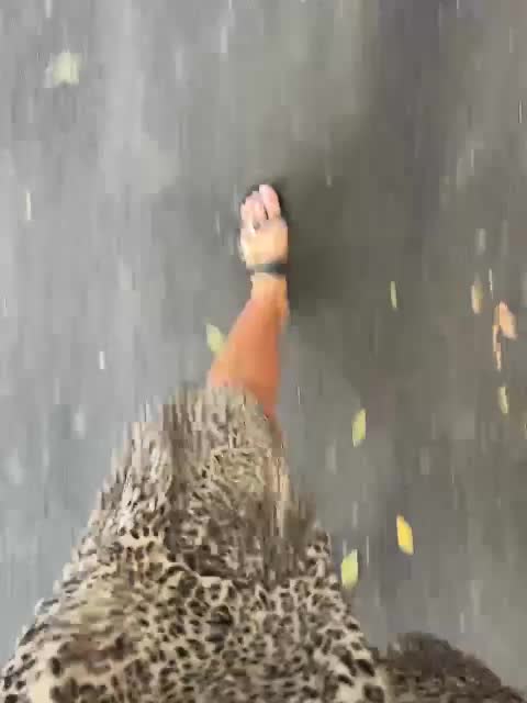 Karolina_Milf Adult Chat August 11, 2025