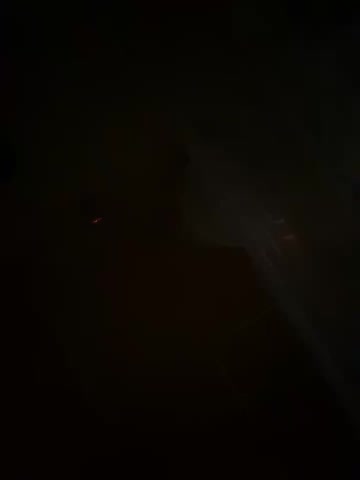 Cute_Erika Adult Chat August 11, 2025