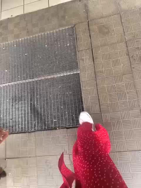 TilyTily Adult Chat August 11, 2025