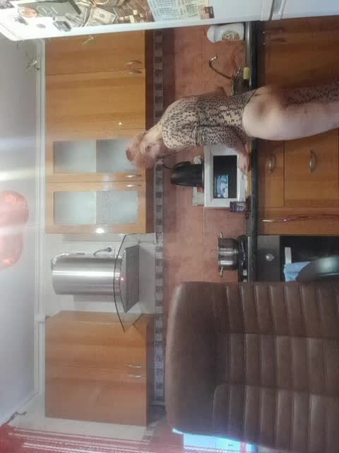 N-I-M-F-O-M-A-N-K-A Adult Chat August 12, 2025