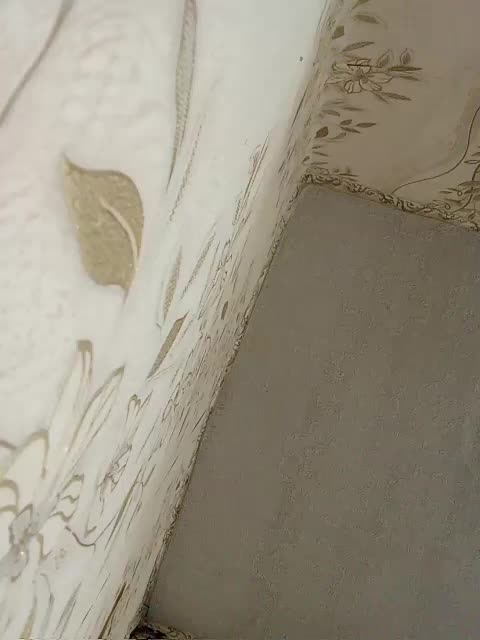 Uana021993 Adult Chat August 12, 2025