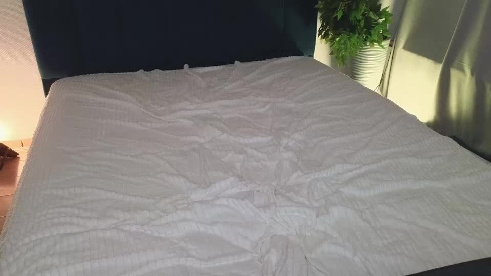 best_trip Adult Chat August 11, 2025