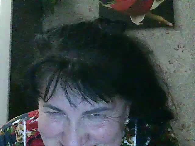 Laurador Adult Chat August 12, 2025