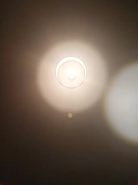 LolaAlex Adult Chat August 11, 2025