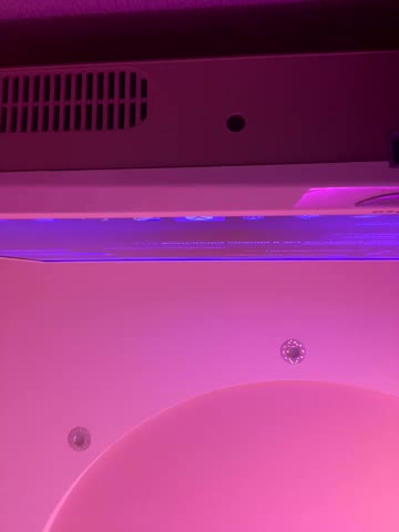 DeniMilkyyyyy Adult Chat August 12, 2025