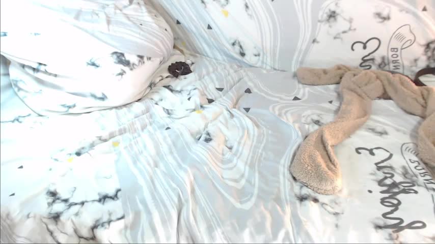 Q_T_pie Adult Chat August 12, 2025