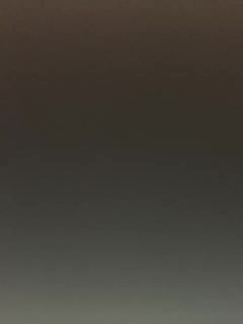 -Jolly- Adult Chat August 12, 2025