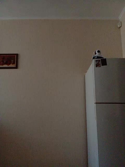 GolayaPravda Adult Chat August 12, 2025