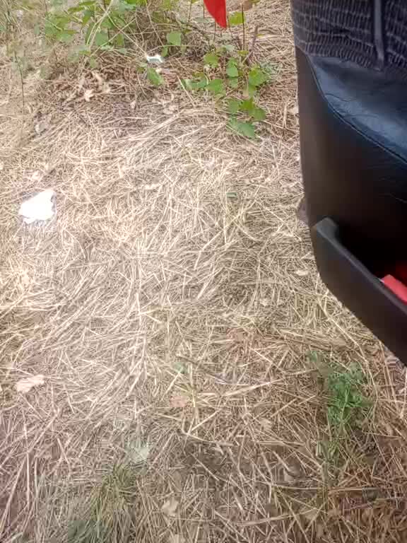 Artem29aAlisa29 Adult Chat August 12, 2025