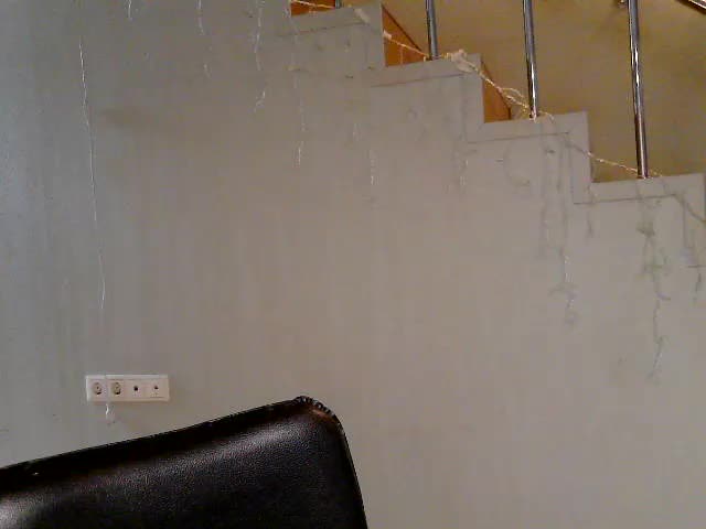 _SENORiTA_ Adult Chat August 12, 2025