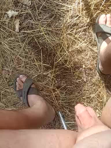 Artem29aAlisa29 Adult Chat August 12, 2025