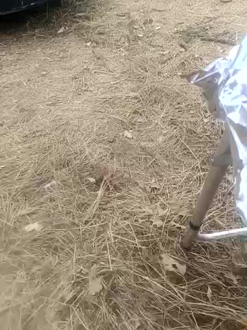 Artem29aAlisa29 Adult Chat August 12, 2025