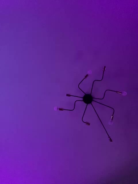 HotlineMiami Adult Chat August 12, 2025