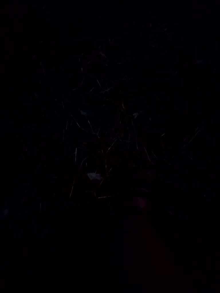 Artem29aAlisa29 Adult Chat August 12, 2025