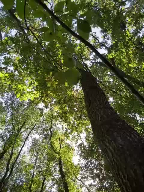 BabyDarii Adult Chat August 12, 2025