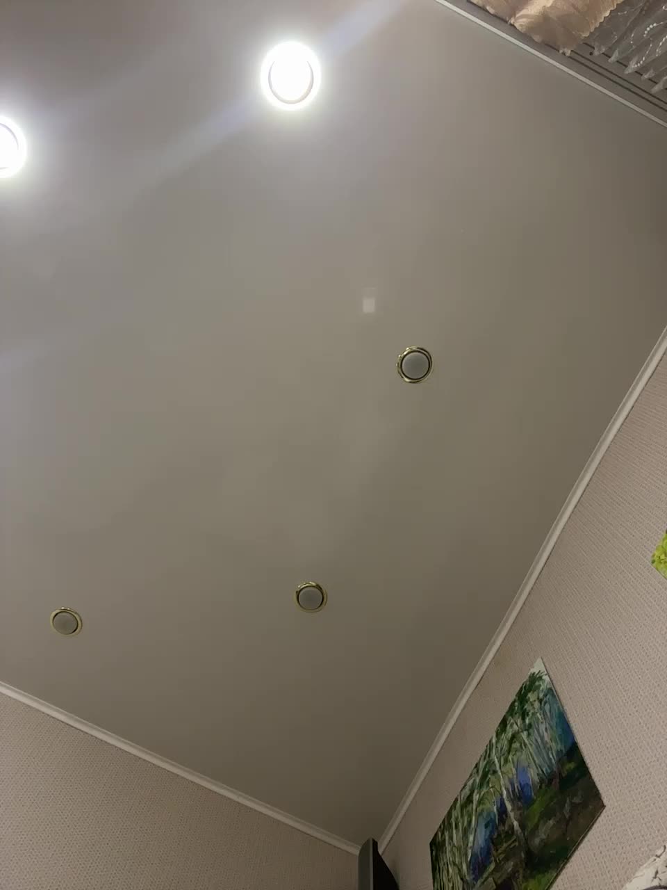 pizzahott Adult Chat August 12, 2025