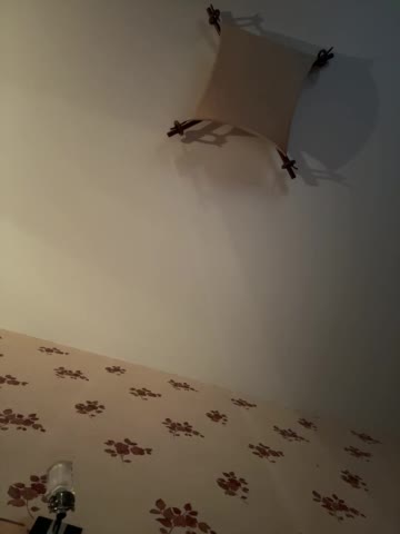 Rinaaamur Adult Chat August 13, 2025