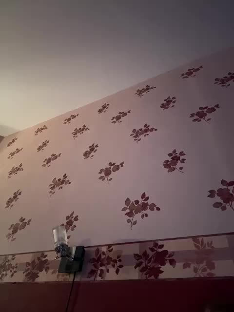 Rinaaamur Adult Chat August 13, 2025