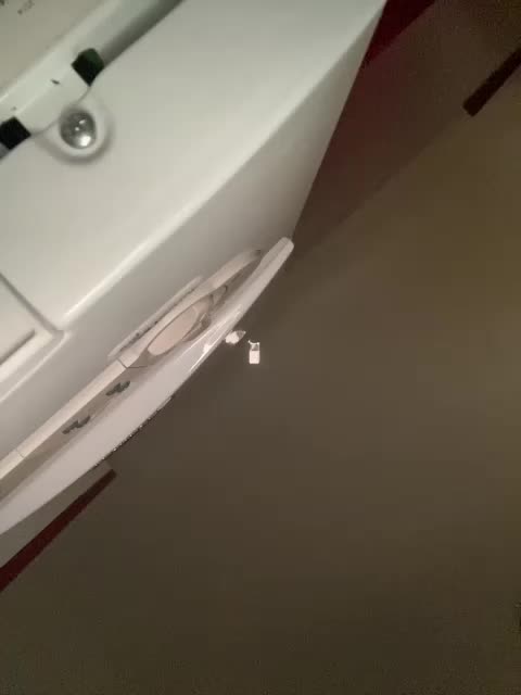 Neposllushnay Adult Chat August 13, 2025