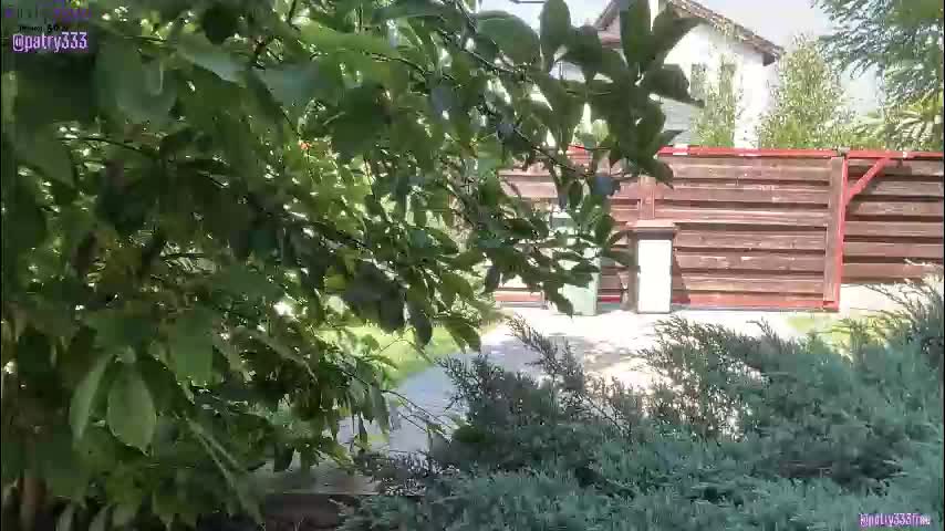 patry333 Adult Chat August 13, 2025