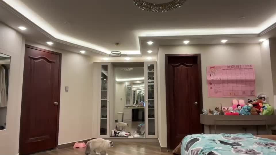 therealcamilabaddie Adult Chat August 13, 2025