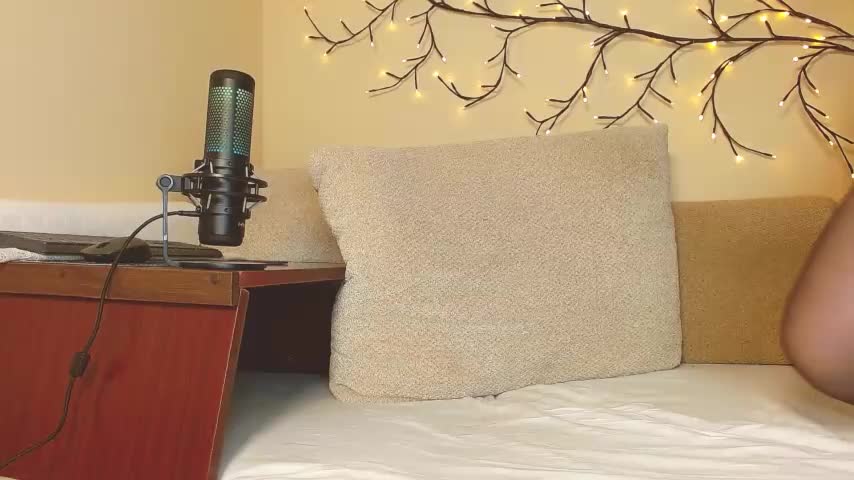 Furbafox2 Adult Chat August 13, 2025